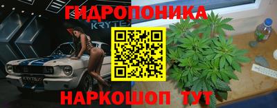 ALPHA PVP Заволжье