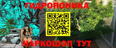 ALPHA PVP Заволжье