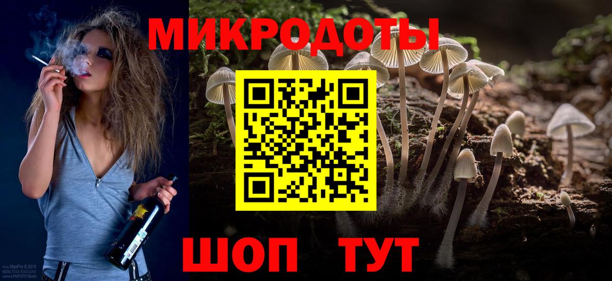 Тосно  Псилоцибиновые грибы мухоморы  Псилоцибиновые грибы GOLDEN TEACHER  Вход с VPN 